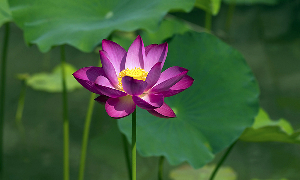 _IGP7838副本副本.jpg
