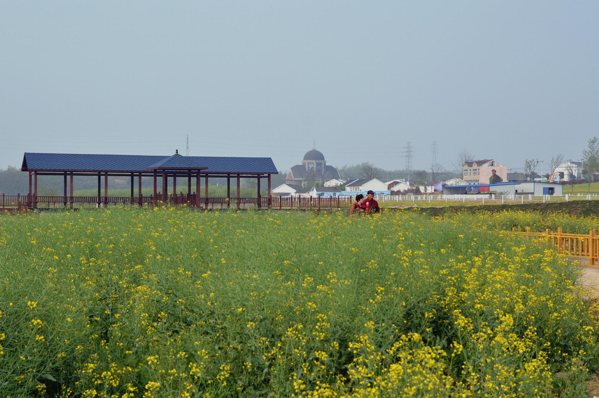 DSC_0119.JPG