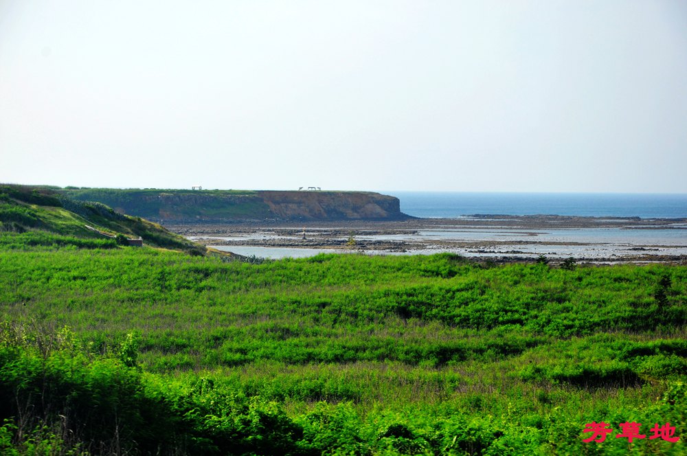 DSC_0120.jpg