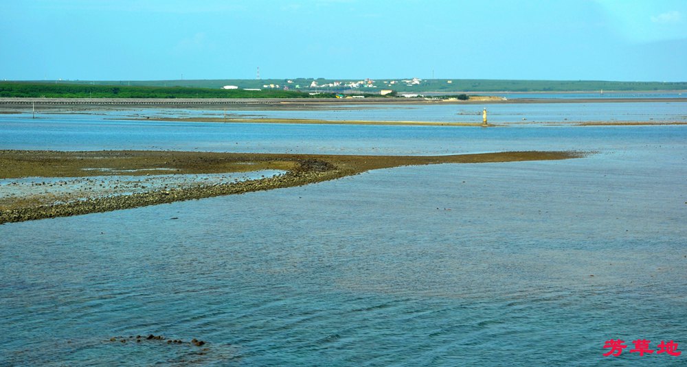 DSC_0123.jpg