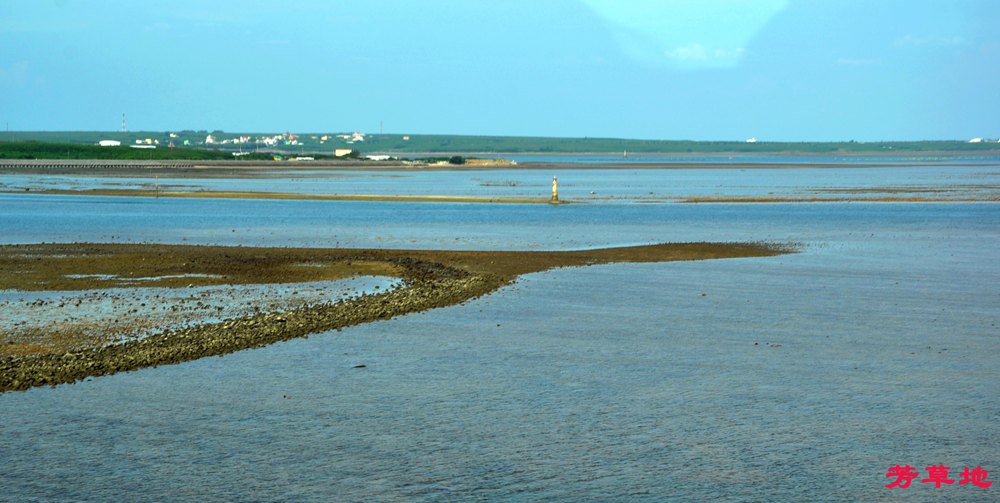 DSC_0124.jpg