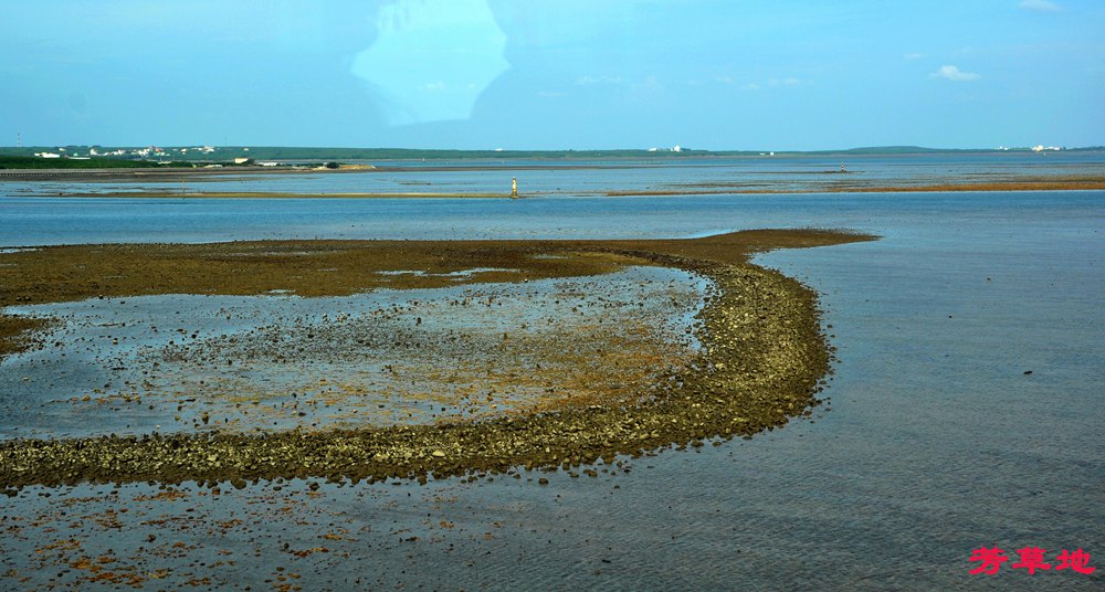DSC_0126.jpg