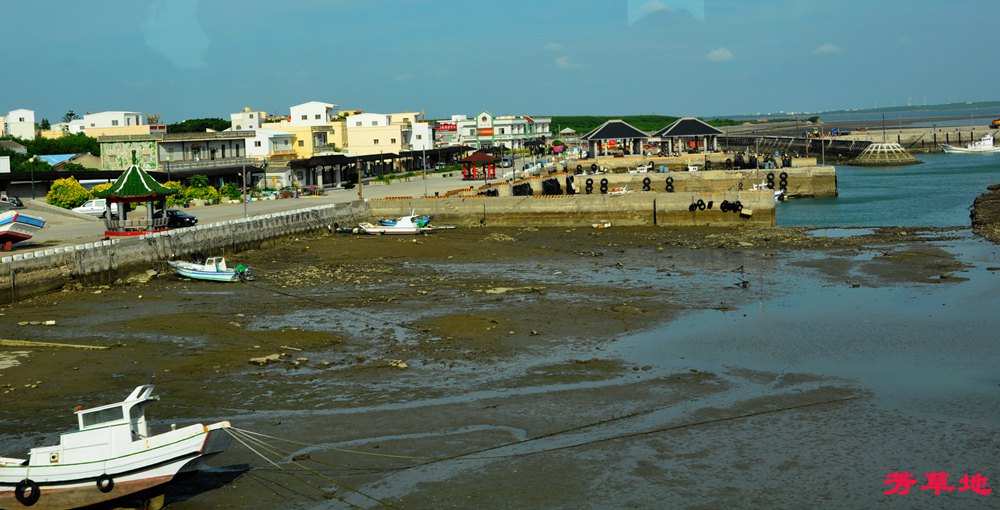 DSC_0133.jpg