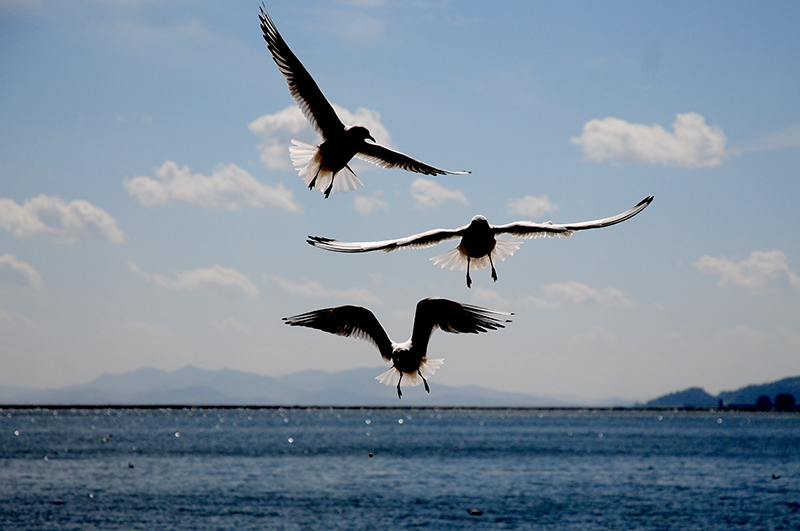 DSC_1399.jpg