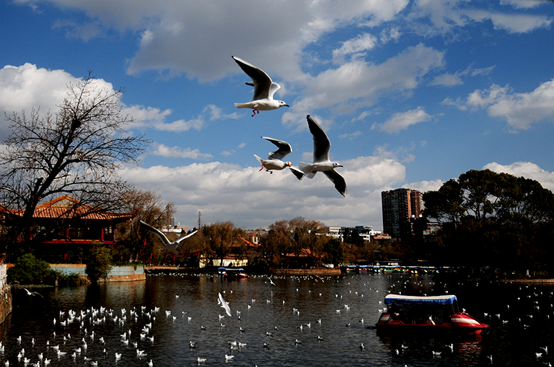 DSC_1504.jpg