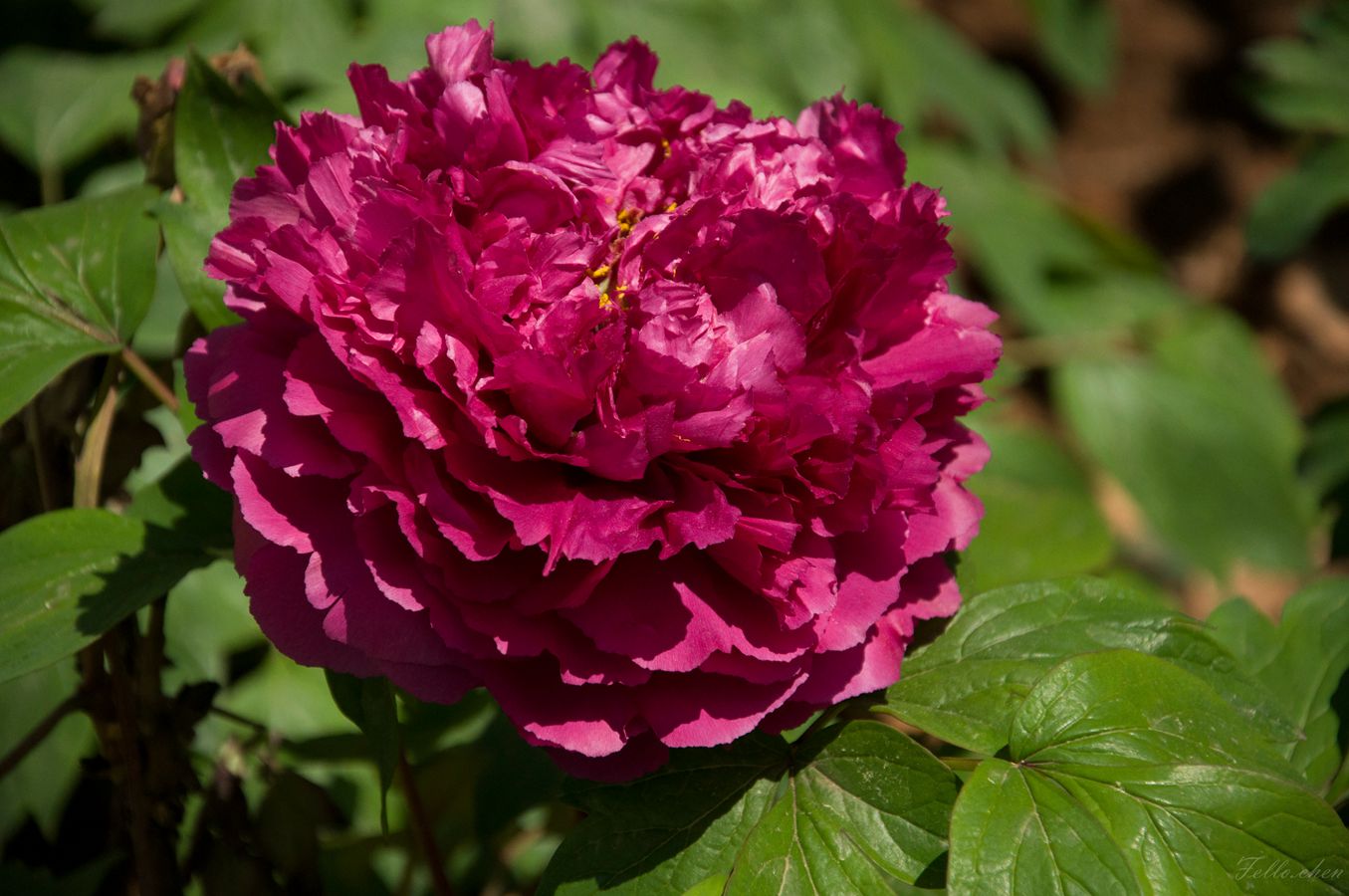 DSC_0025.jpg