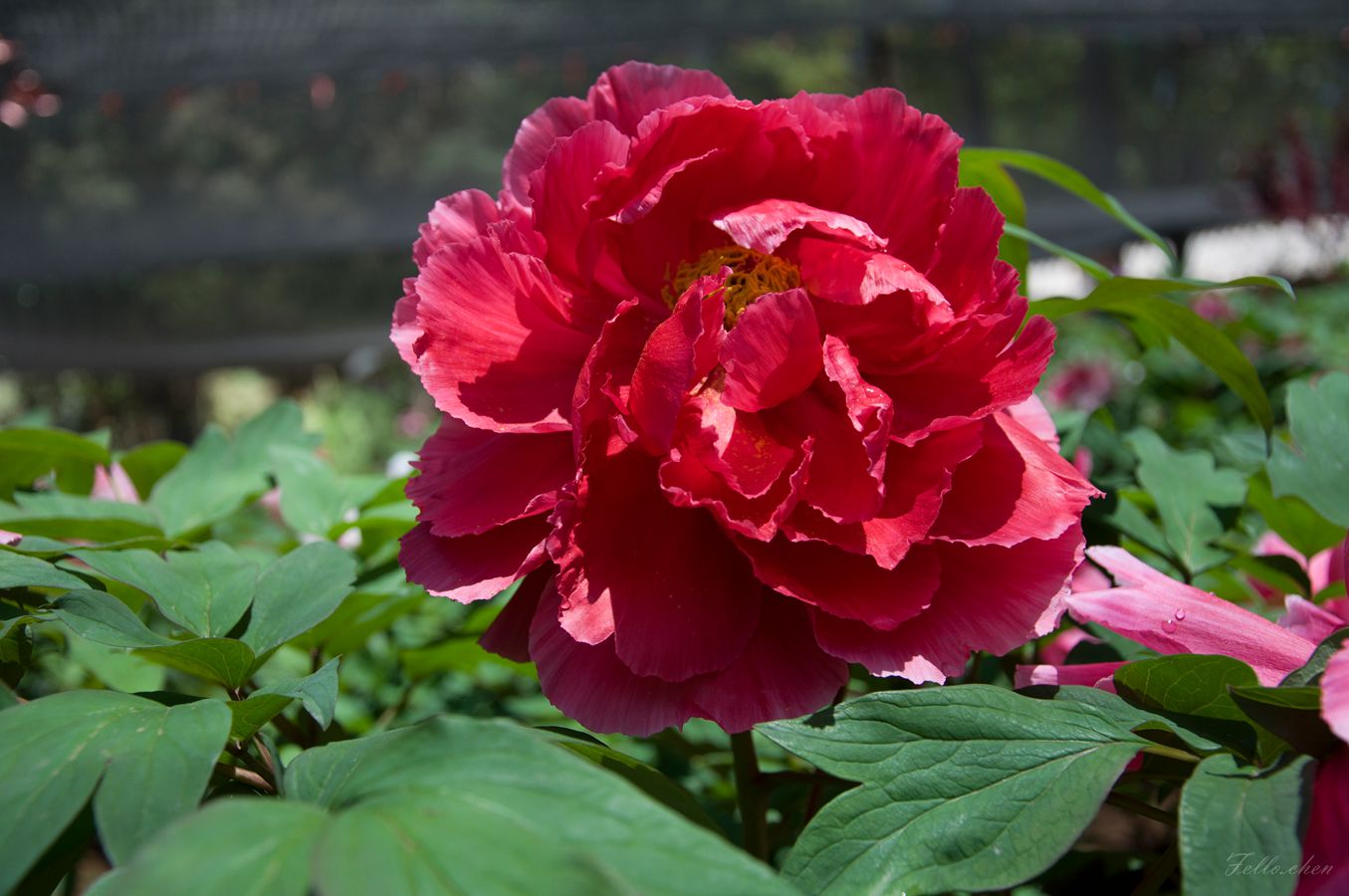 DSC_0048.jpg