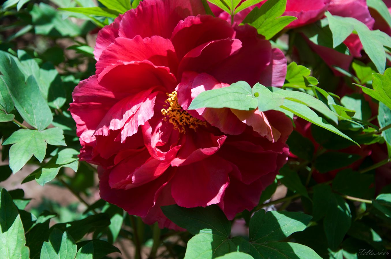 DSC_0056.jpg