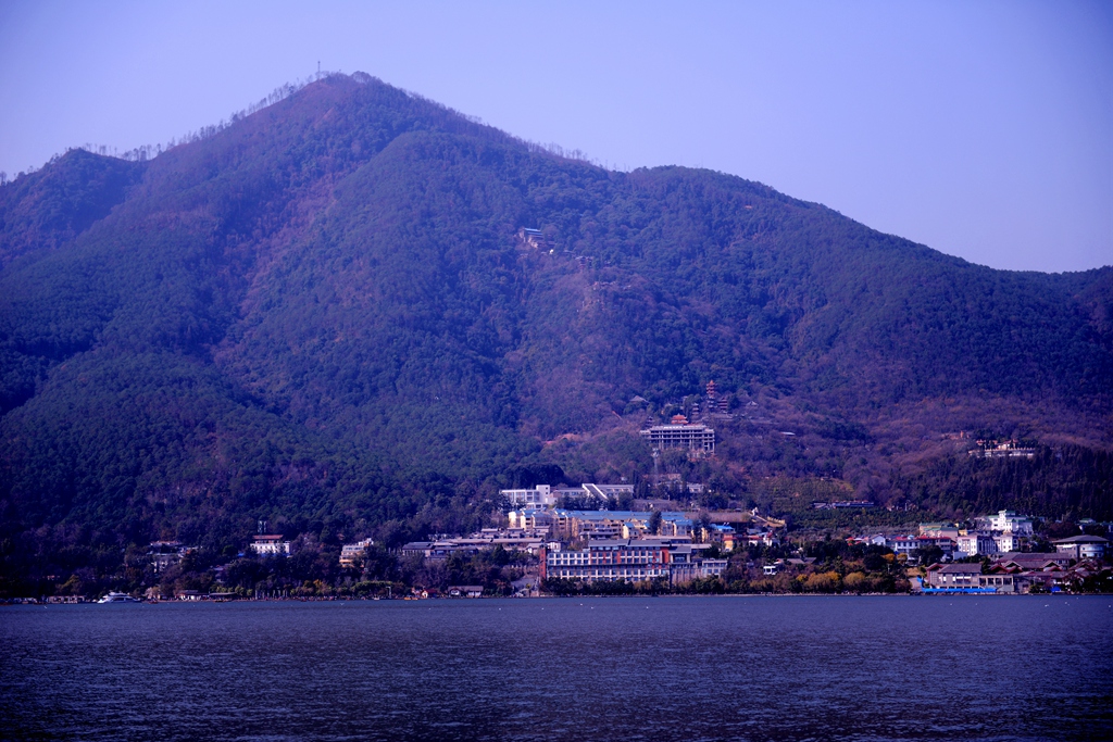 DSC_3381.JPG