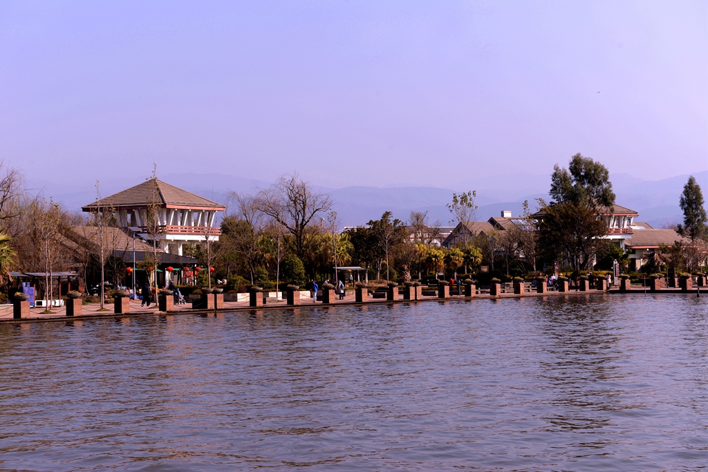 DSC_3395.JPG