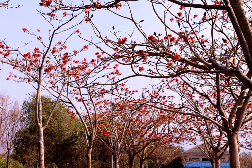 DSC_3399.JPG