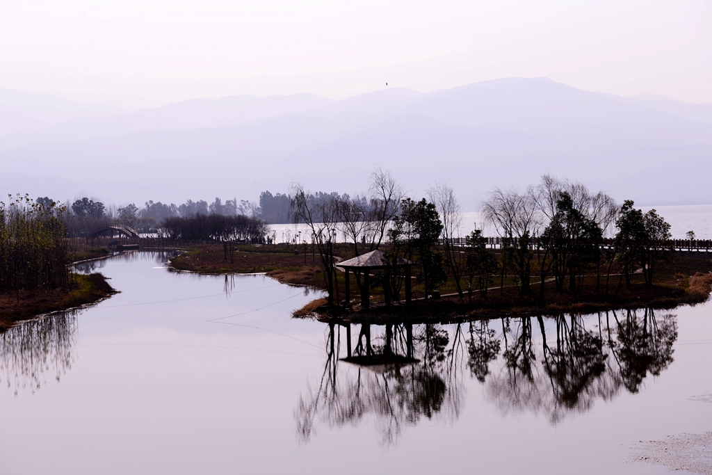 DSC_3353.JPG