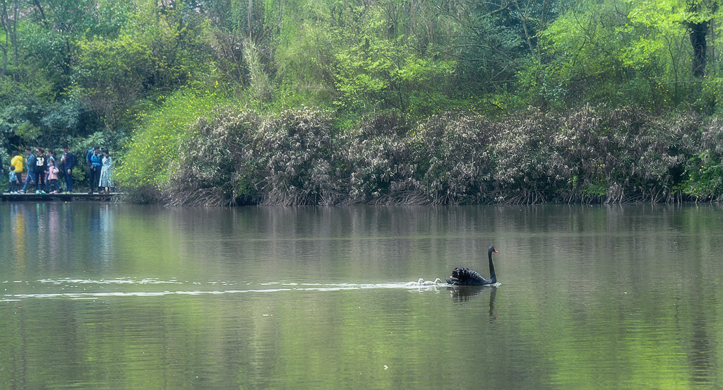 DSC_0069_副本.jpg