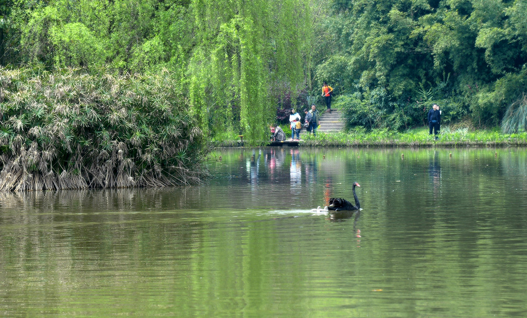 DSC_0073_副本.jpg