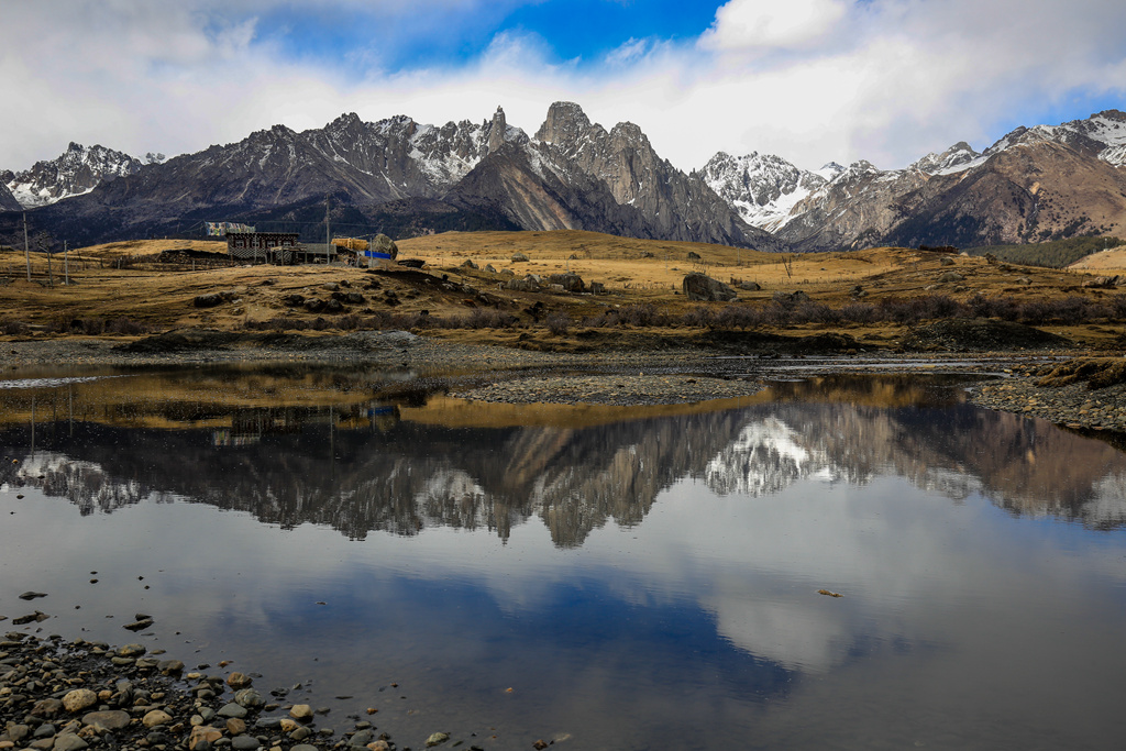YE_15229-1.jpg