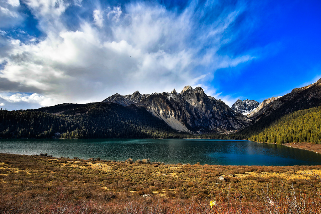 YE_15252-1.jpg
