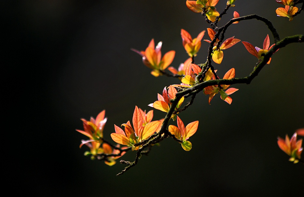 DSC_0151_副本.jpg