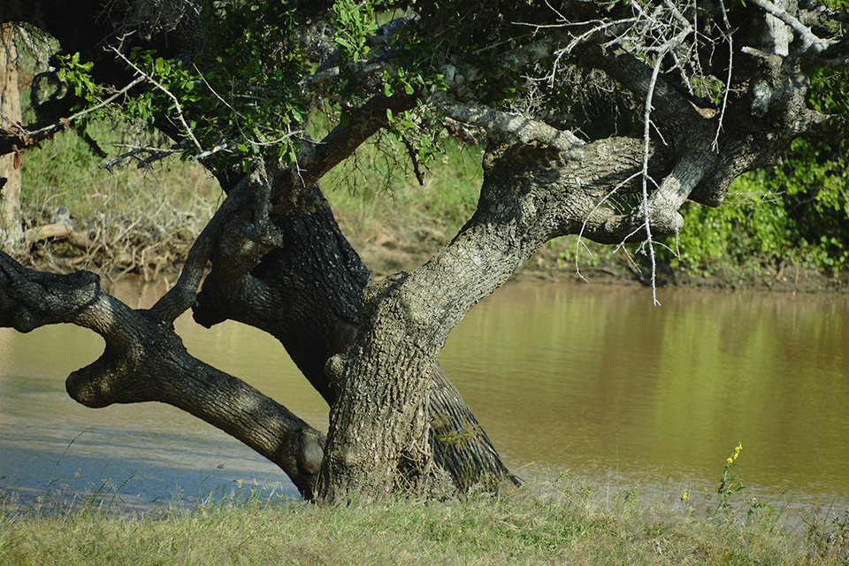 _DSC1403.jpg