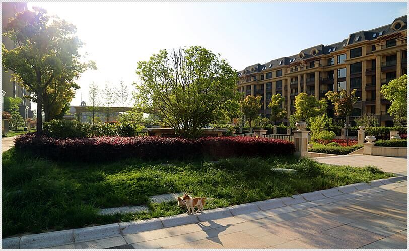 QQ图片20160419175614.jpg