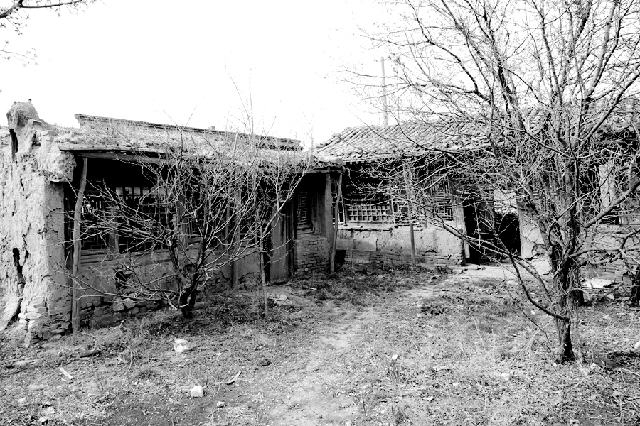 B06.JPG
