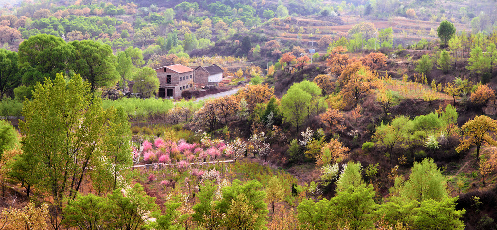 未标题_全景图-1_副本.jpg