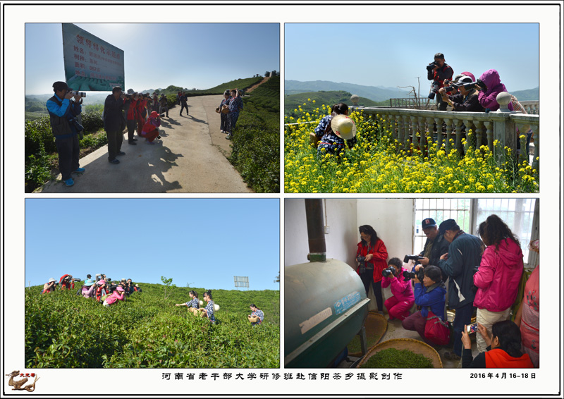 2016年4月16-18日河南省老干部大学研修班赴信阳茶乡摄影创作5= 拷贝.jpg