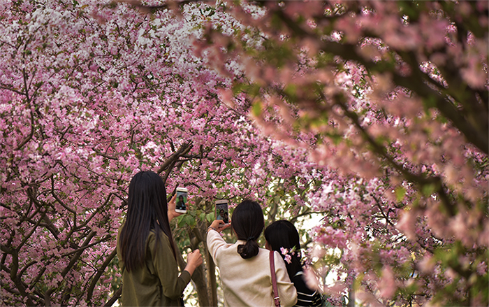 xiao_DSC8001_看图王.jpg