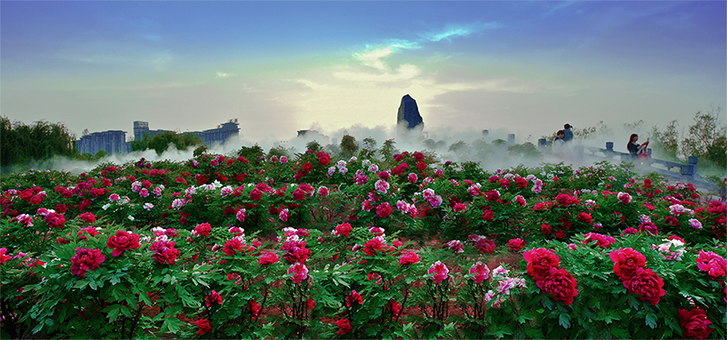 _xiaoDSC5392_看图王.jpg