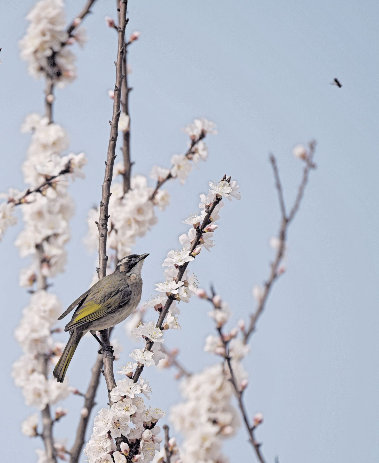 DSC_3834_副本_副本.jpg