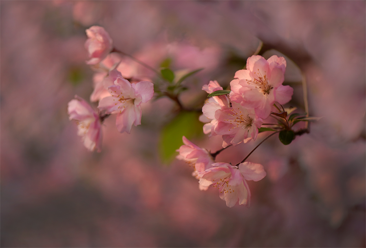 xiao_DSC7853_看图王.jpg