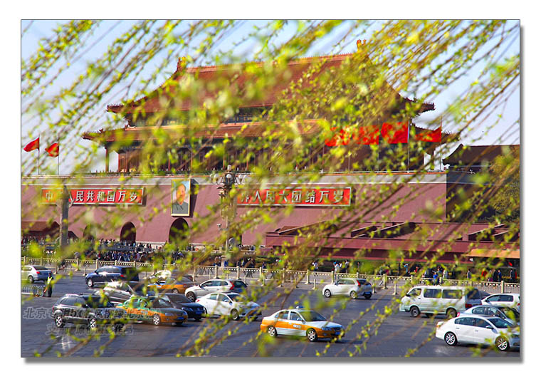 京城专辑5--4图-1《春风柳绿北京城》--支箭-独创用杆撑相机摄-.JPG