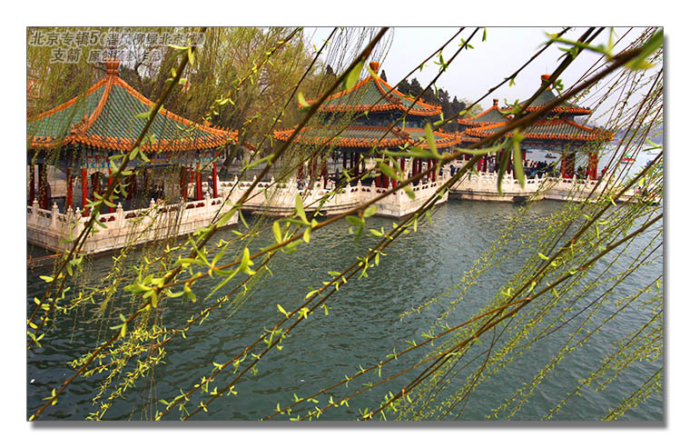 京城专辑5--4图-3《春风柳绿北京城》--支箭-独创用杆撑相机摄-.JPG