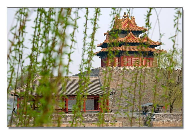 京城专辑5--4图-4《春风柳绿北京城》--支箭-独创用杆撑相机摄-.jpg
