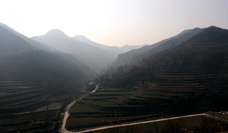 DPP_0031.JPG
