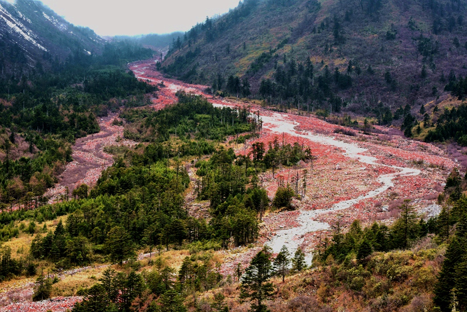 DSC_6980_副本_副本.jpg