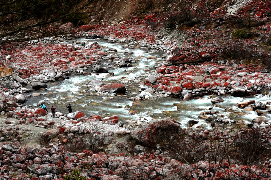DSC_7057_副本_副本.jpg