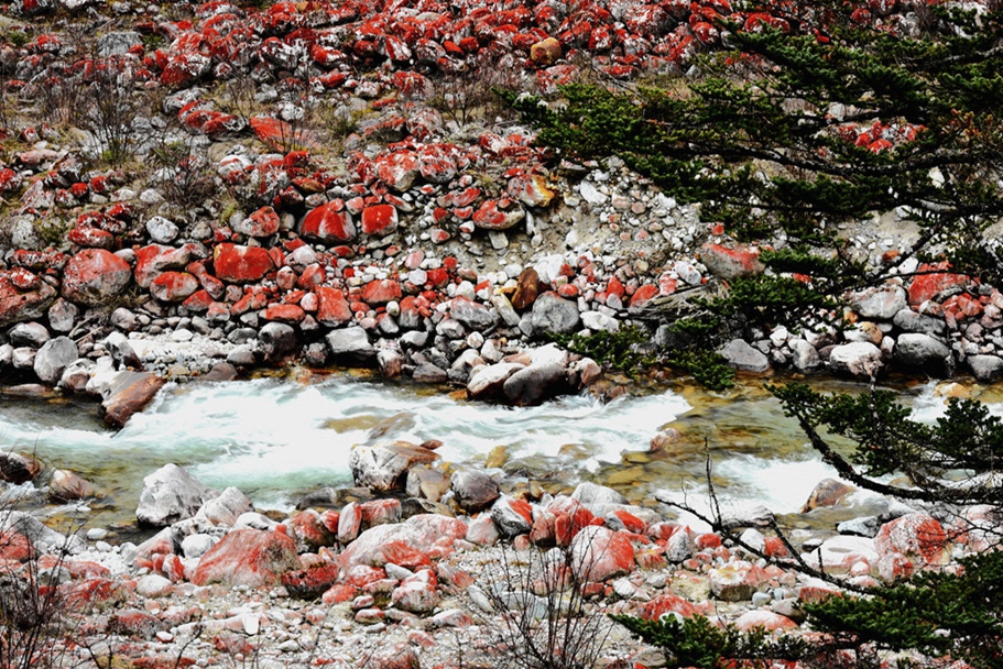 DSC_7060_副本_副本.jpg