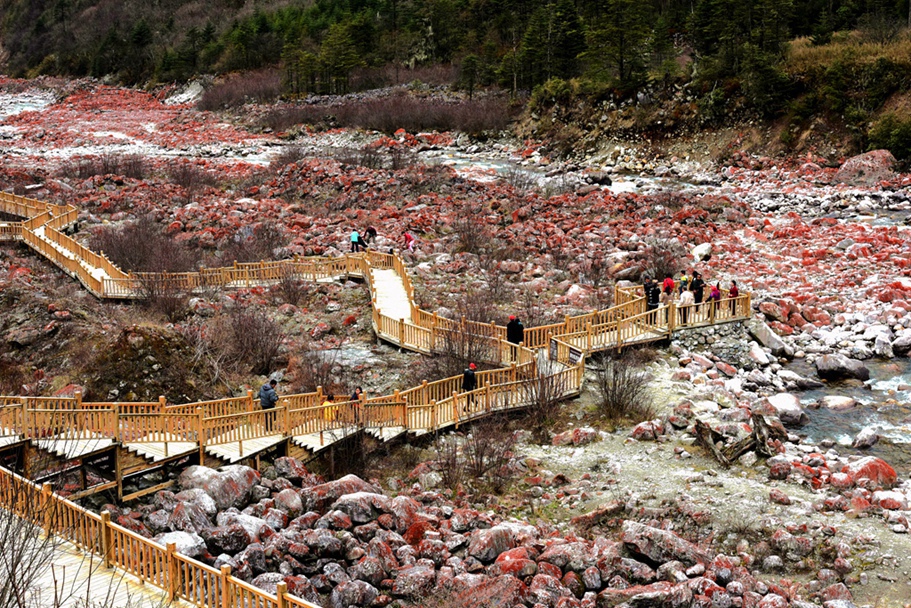 DSC_7069_副本_副本.jpg