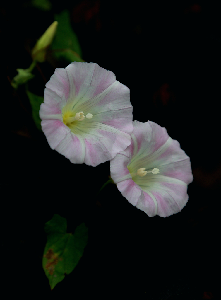 D34A5004_副本_副本.jpg