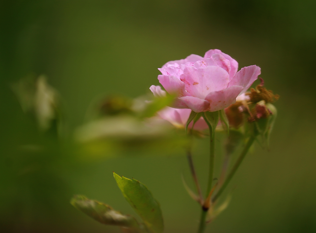 D34A5429.JPG