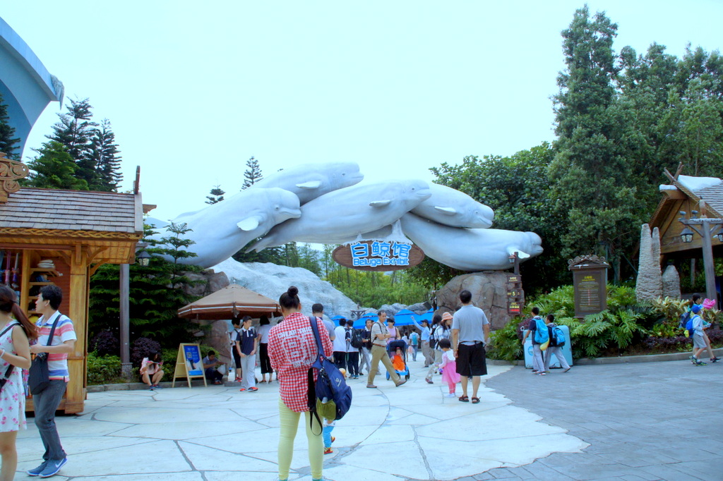 DSC06780.JPG