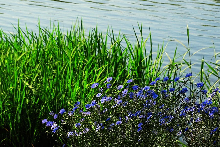 DSC00680.JPG