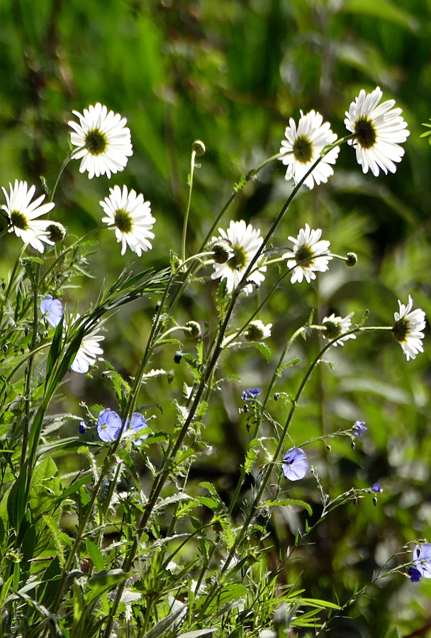L5600648.JPG