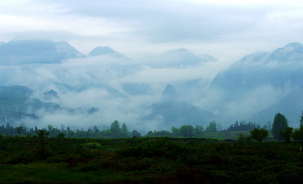 DSC_6185.JPG