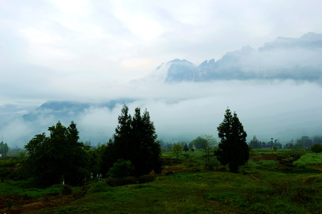 DSC_6190.JPG