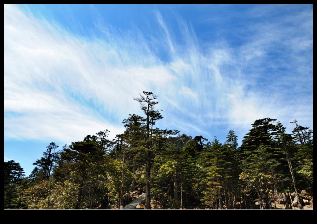 conew_dsc_4276_dh.jpg