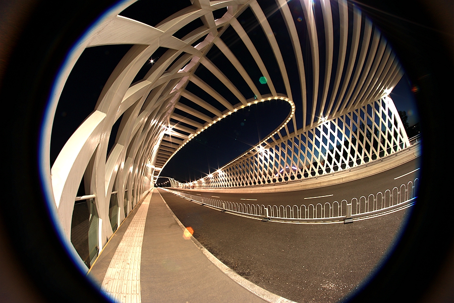 B06.JPG