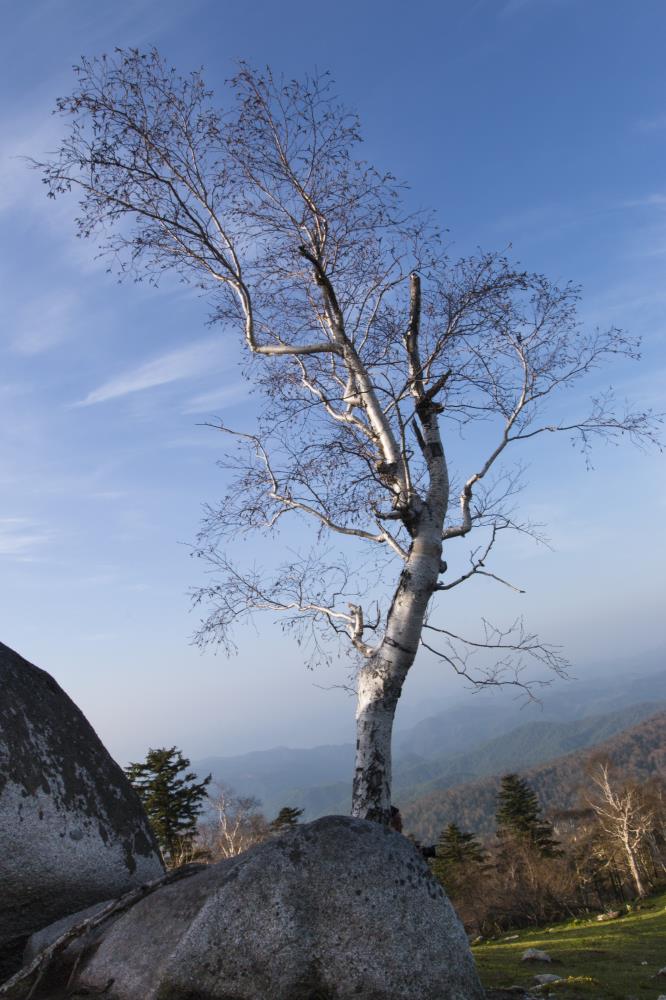 IMG001.jpg