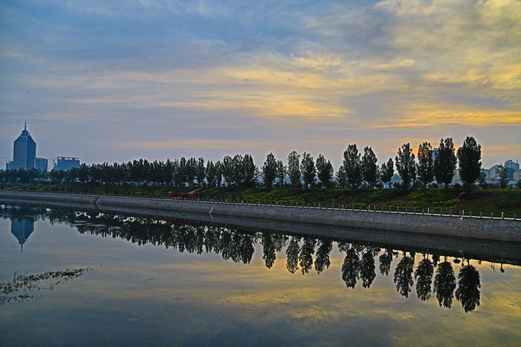 conew_985a9650.jpg