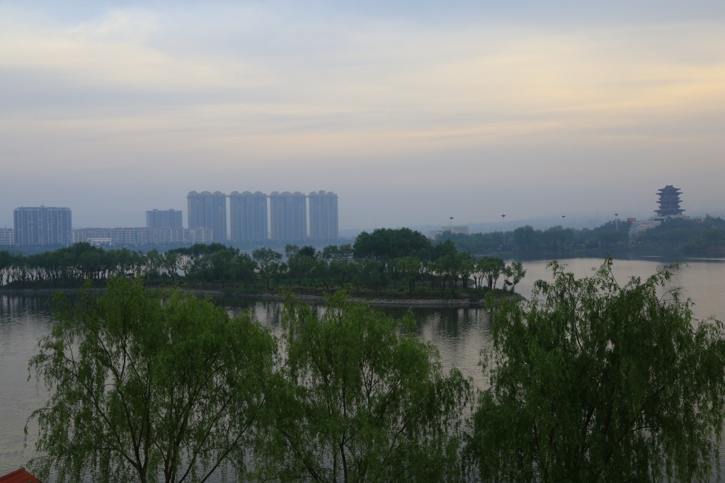 conew_985a9667.jpg